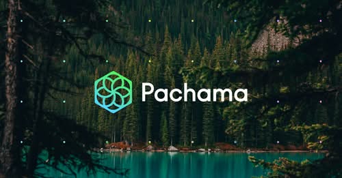 Pachama site